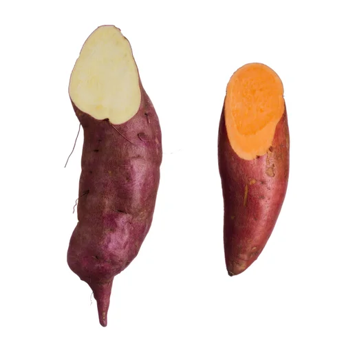 White Sweet Potato