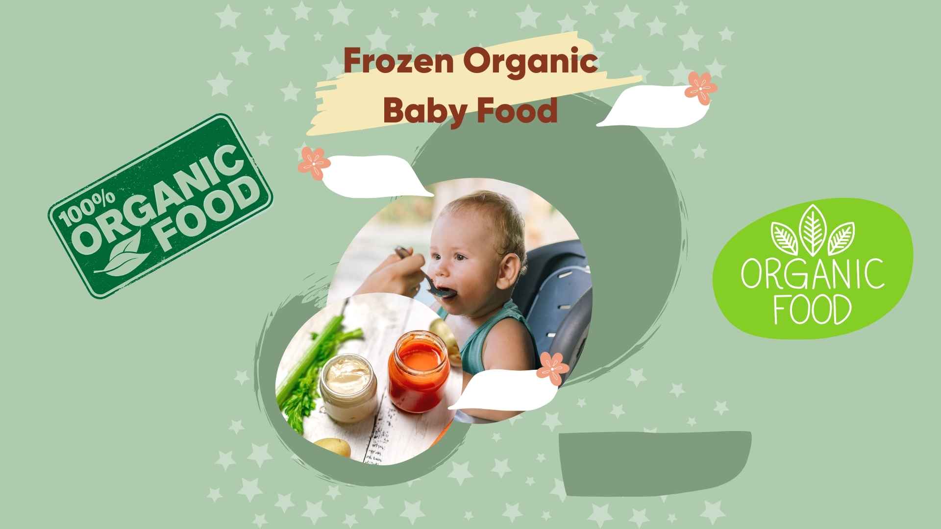 Frozen Organic Baby Food