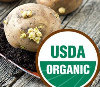 Organic Seed Potatoes