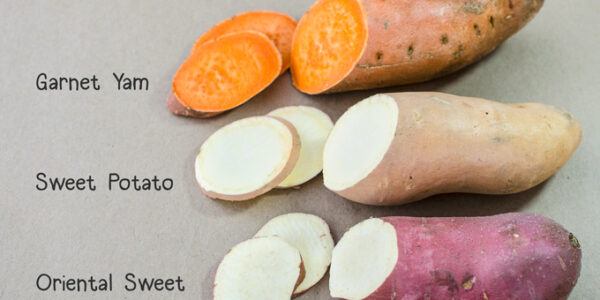 White Sweet Potato